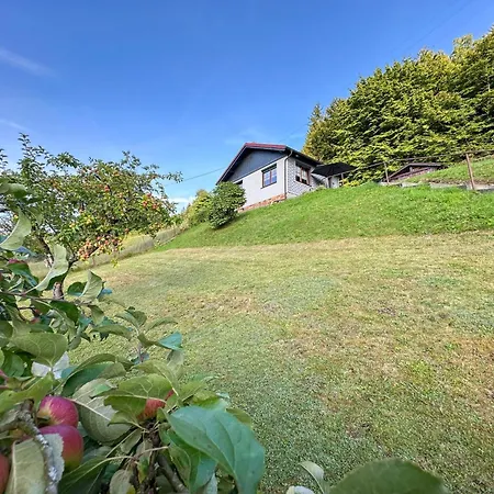 Casa vacanze Am Steinberg